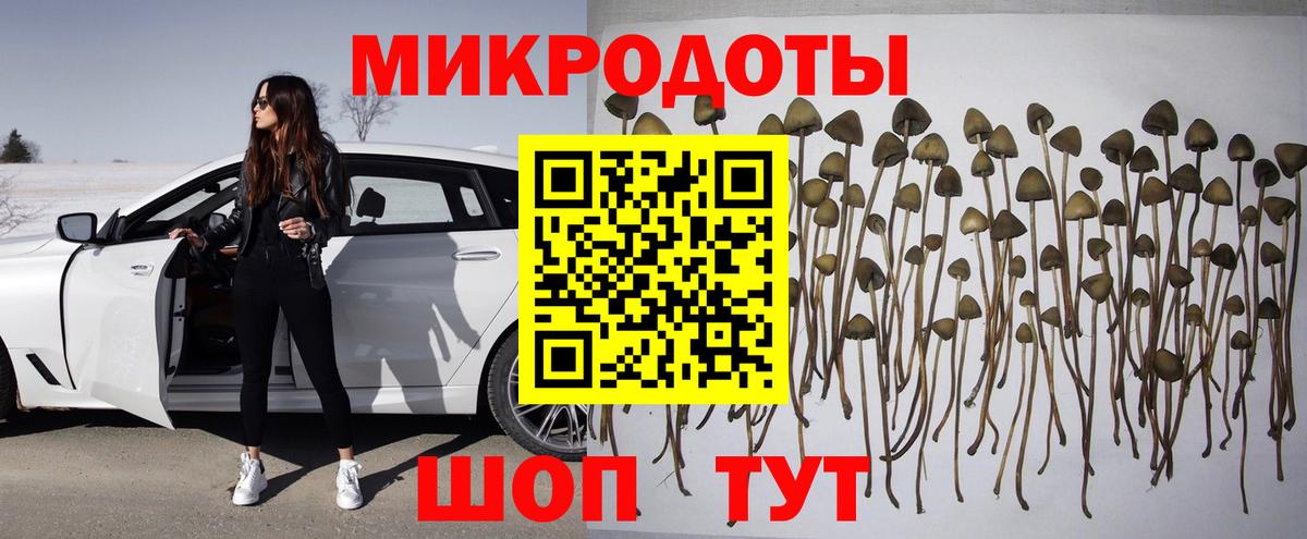 Галлюциногенные грибы Psilocybe  Вход с VPN  Сочи 
